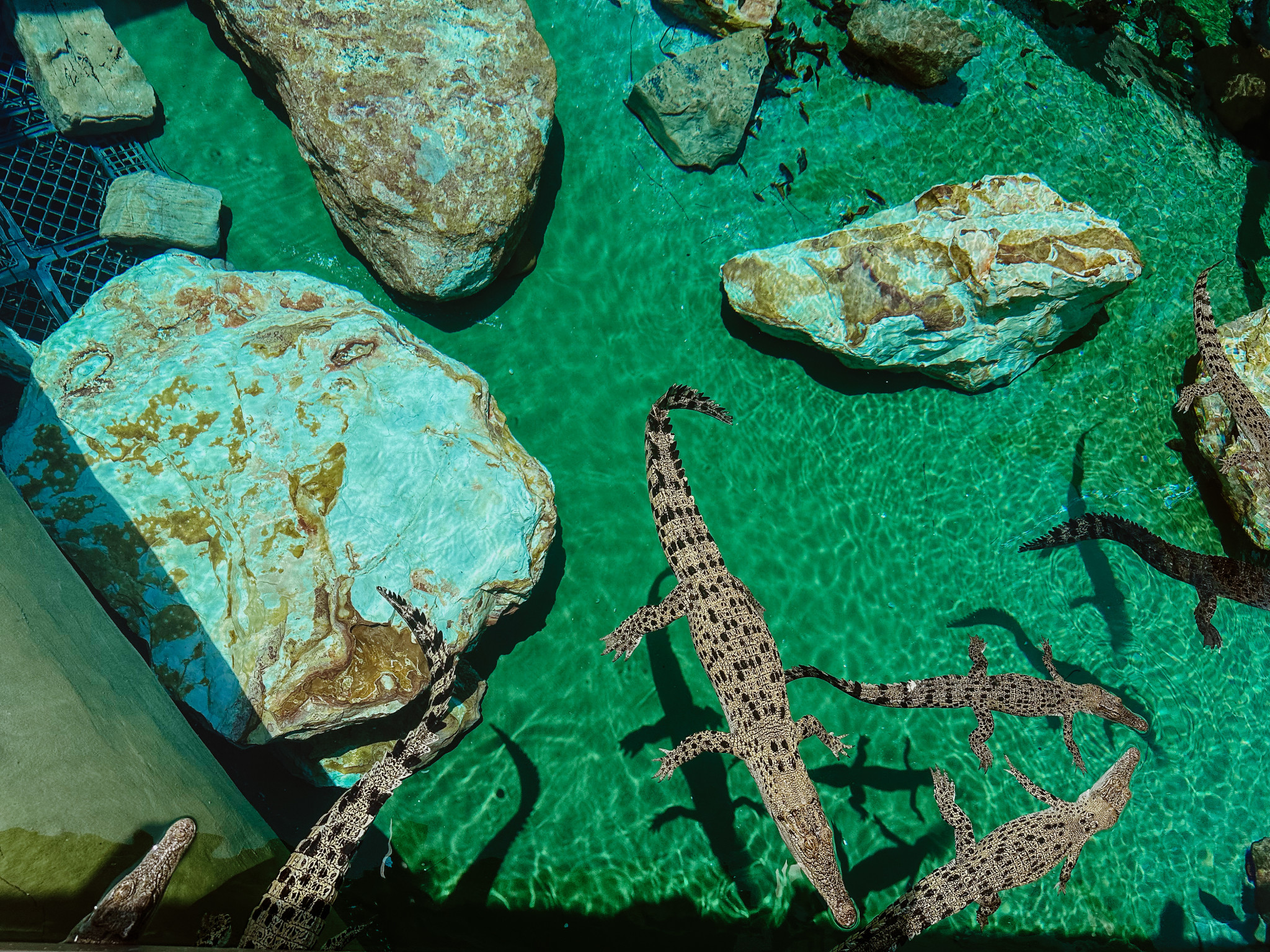 A Darwin Experience to Remember