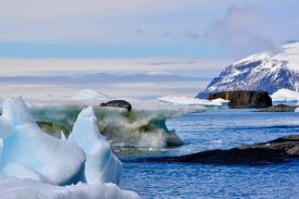 Jb Antarctica 1
