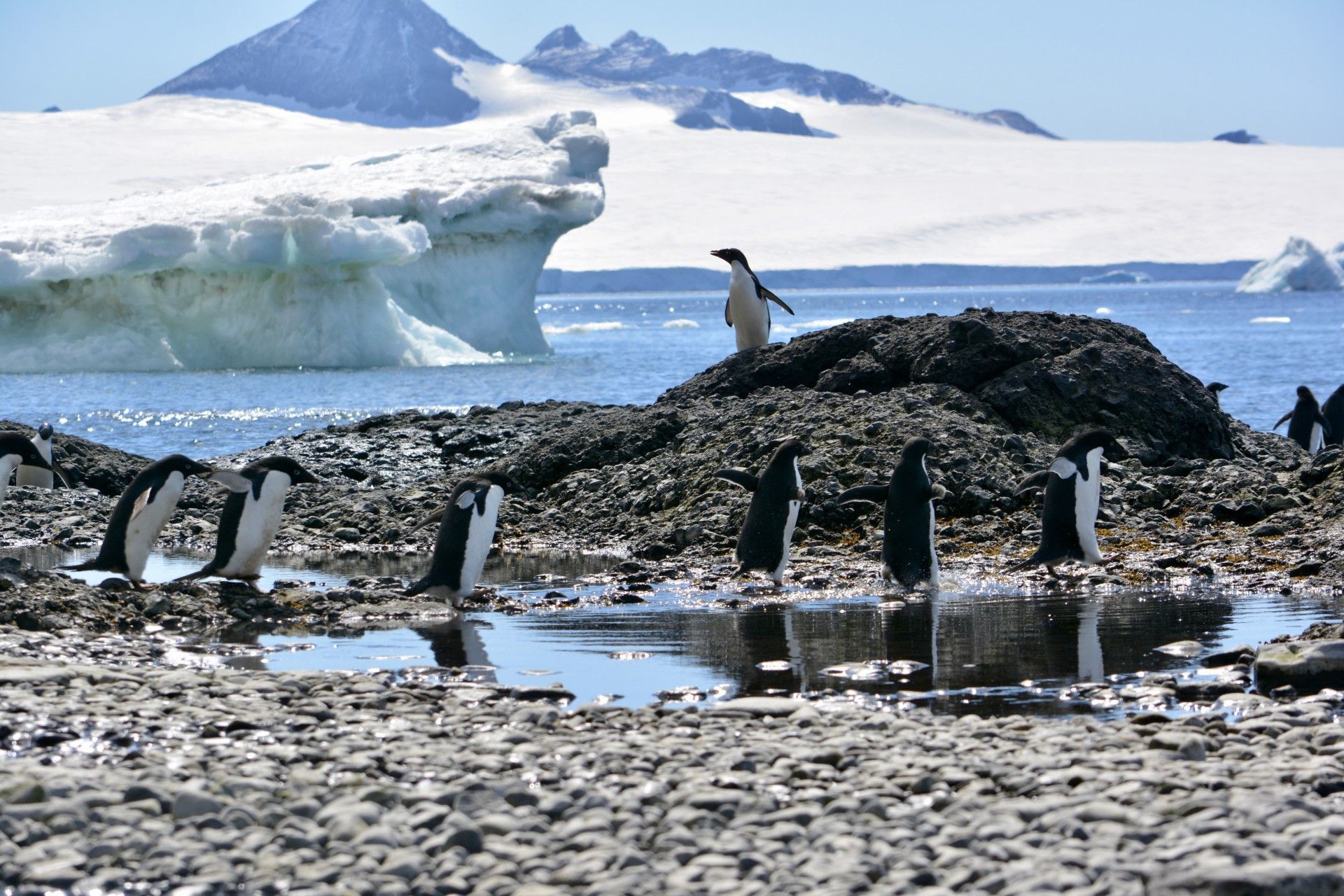 Jb Antarctica 2