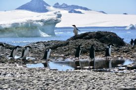 Jb Antarctica 2