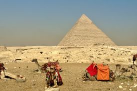 Jb Egypt 3